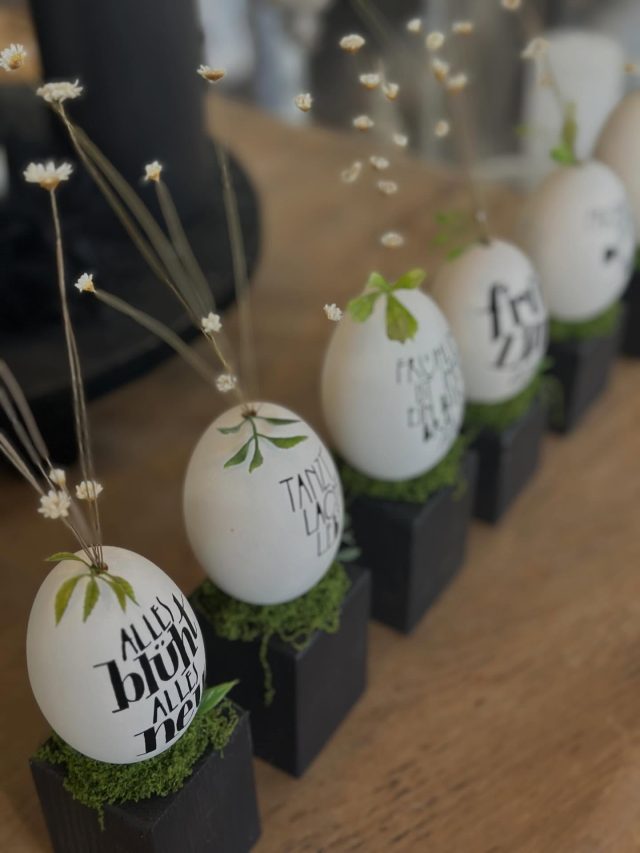Frühling kann kommen…..
#gänseeier #frühling #frühlingsdeko #osterdeko #eier