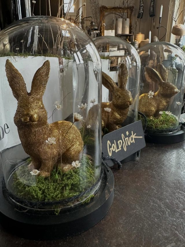 #goldstück #goldschatz #goldhase #goldig #ostern